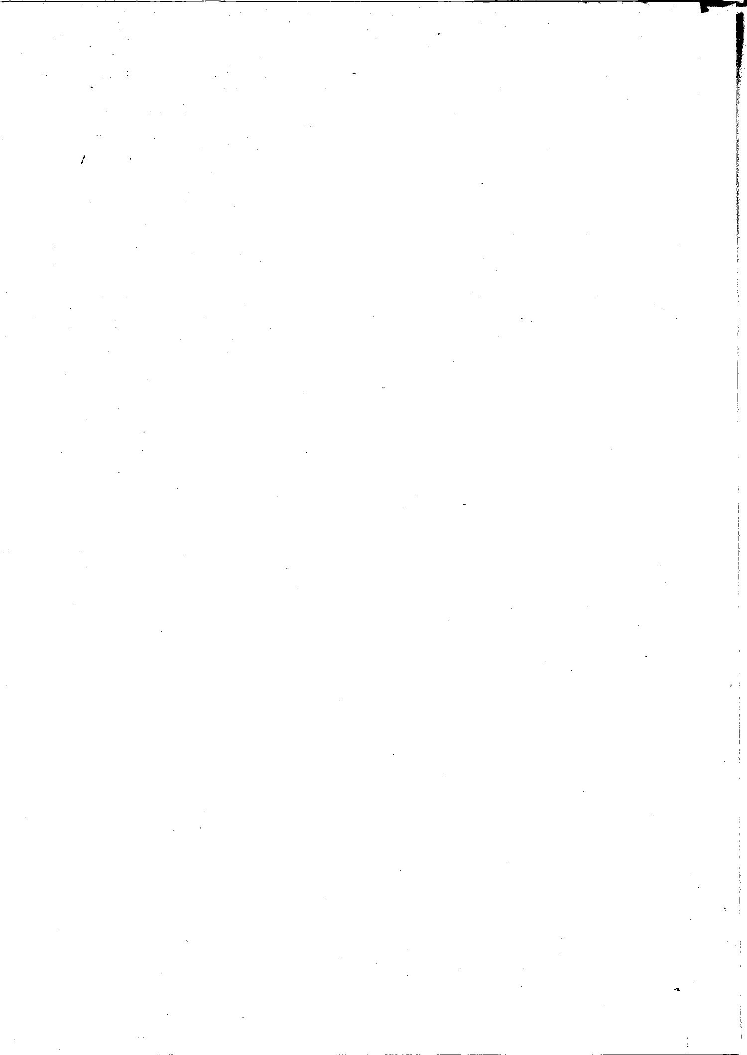Scan of page 300