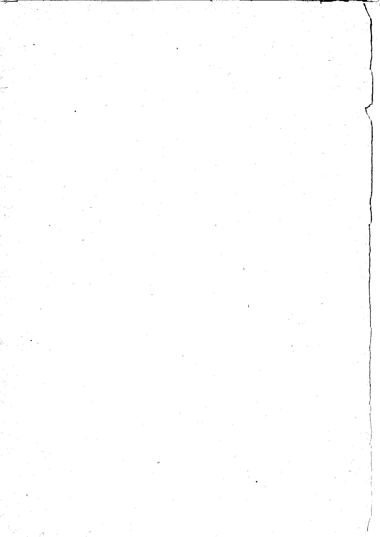 Scan der Seite VIII